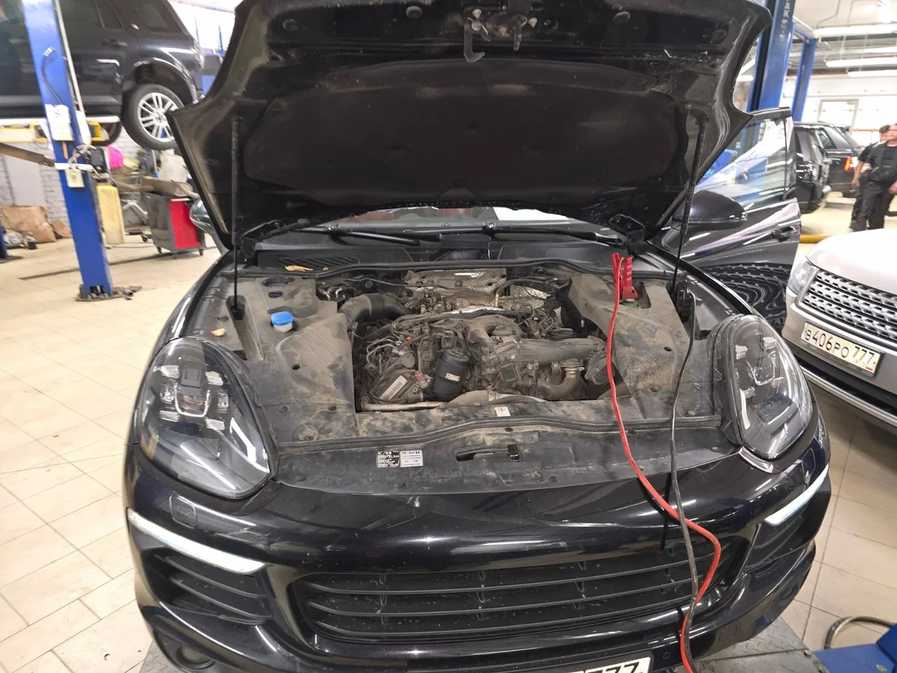 Галерея павильона C7